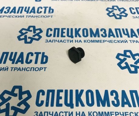 Пробка сливная редуктора заднего моста на Хендай Портер 1 - 0081017121