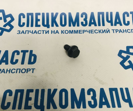 Болт звёздочки распредвала на Форд Транзит - 1113036
