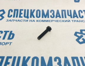 Болт натяжителя цепи ГРМ (верхней) на Хендай Портер 2 - 1131306303
