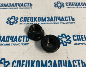 Гайка кронштейна топливного фильтра на Хендай Портер 2 - 1339508007K