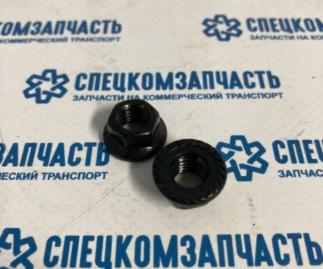 Гайка кронштейна топливного фильтра на Хендай Портер 2 - 1339508007K