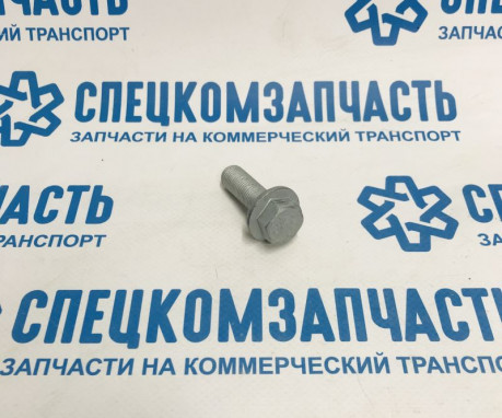 Болт шестерни распредвала на Фиат Дукато - 16289934