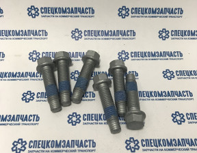 Болты крепления тормозного диска 6 шт. TR > 14 (двускат.колеса M12x35мм) на Форд Транзит - 1818630