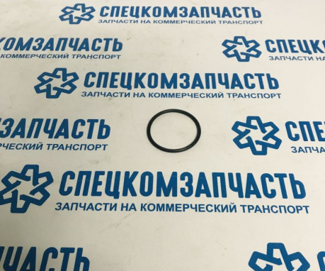 Прокладка ТНВД (КОЛЬЦО) евро4 на Пежо Боксер - 192551