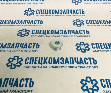 Пробка сливная поддона картера D4GA на Hyundai HD - 2151252000