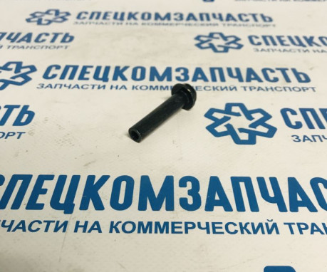 Болт крепления крышки клапанов(полый) на Хендай Портер 1 - 2241442902