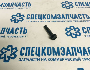 Болт крепления крышки клапанов(полый) на Хендай Портер 1 - 2241442902