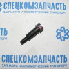 Болт успокоителя цепи ГРМ (средней) на Хендай Портер 2 - 243714A002