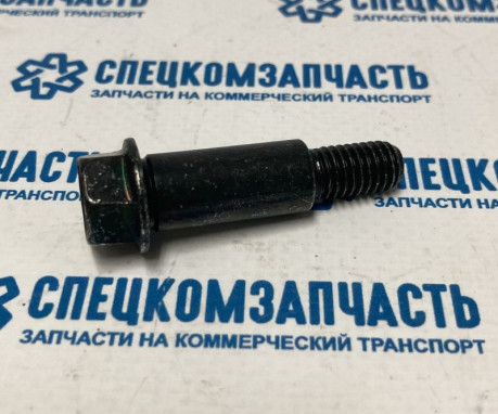 Болт успокоителя цепи ГРМ (средней) на Хендай Портер 2 - 243714A010