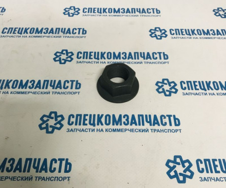 Гайка шкива вала коленчатого на Hyundai HD - 2524541000