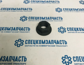 Гайка шкива вала коленчатого на Hyundai HD - 2524541000
