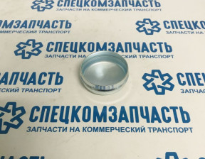 Колпак грязезащитный ступицы задней на Пежо Боксер - 374047