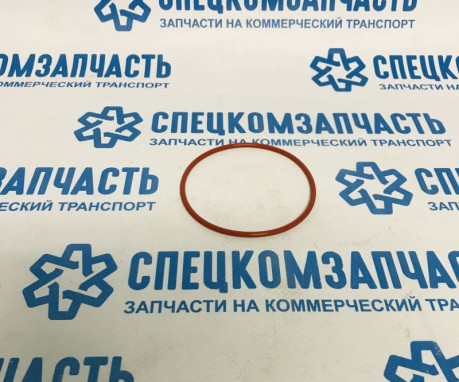 Прокладка (кольцо) насоса вакуумного большая D4DD/D4DB на Hyundai HD - 3862345000