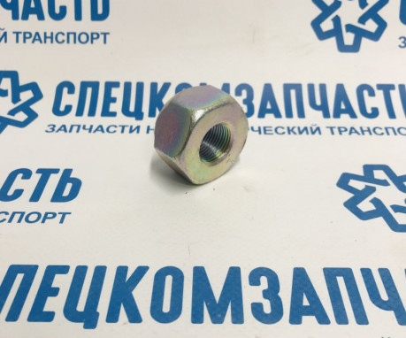 Гайка колеса переднего левого (на 38) HD65 на Hyundai HD - 5198545001