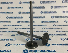 Клапан впускной ISF 2.8 на Газель Некст - 5308264