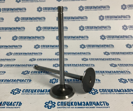 Клапан впускной ISF 2.8 на Газель Некст - 5308264