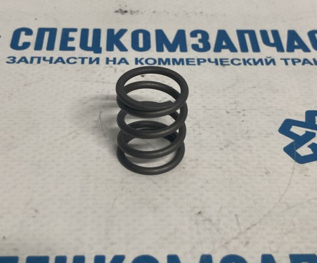 Пружина колодок стояночного тормоза,прижимная на Hyundai HD - 598265H000