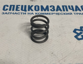 Пружина колодок стояночного тормоза,прижимная на Hyundai HD - 598265H000