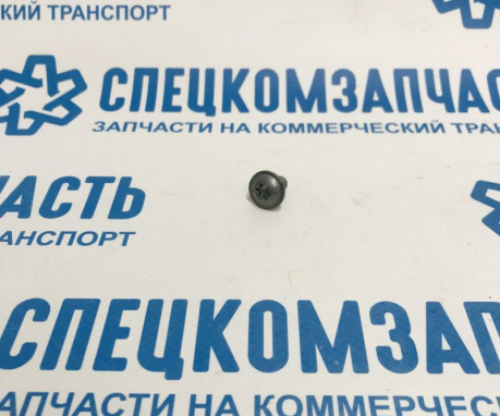 Болт diam 6x100-12 на Пежо Боксер - 6924C3