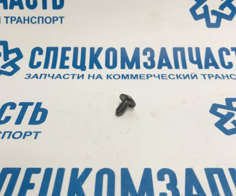 Болт diam 6x100-12 на Пежо Боксер - 6924C3