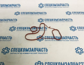 Прокладка радиатора масляного ОМ611/612/646 на Мерседес Спринтер - 703425400