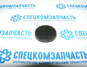 Заглушка молдинга стекла лобового нижнего на Киа Бонго - 861404E010