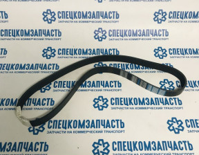 Ремень вентилятора D4GA на Hyundai HD - 8PK1167