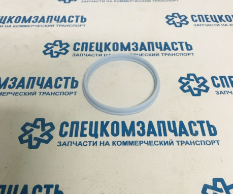 Кольцо уплотнительное впускного коллектора на Форд Транзит - AR892