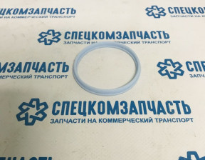 Кольцо уплотнительное впускного коллектора на Форд Транзит - AR892