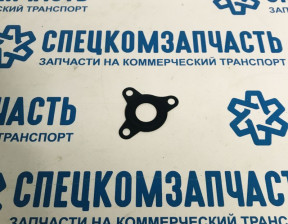 Прокладка регулятора давления топлива (на ТНВД) на Фиат Дукато - F01M100055
