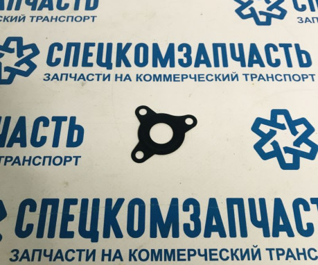 Прокладка регулятора давления топлива (на ТНВД) на Фиат Дукато - F01M100055