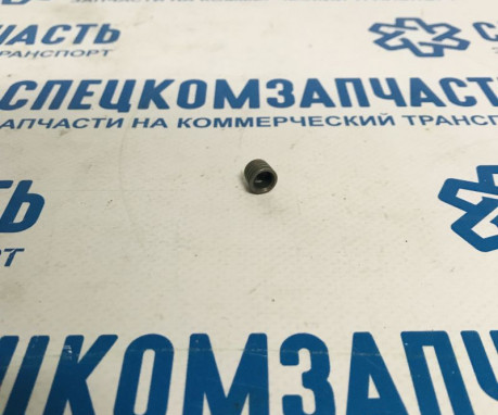 Заглушка ТНВД на Фиат Дукато - F01M100180
