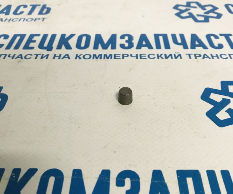 Заглушка ТНВД на Фиат Дукато - F01M100180