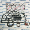 Прокладка двигателя комплект (с ПГБЦ и сальниками) (дв.D4DD) на Hyundai HD - GGSH069