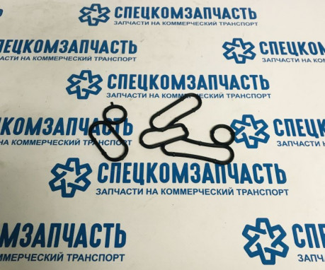 Прокладка маслоохладителя между двумя половинками на Форд Транзит - GNG386