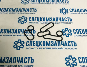 Прокладка маслоохладителя между двумя половинками на Форд Транзит - GNG386