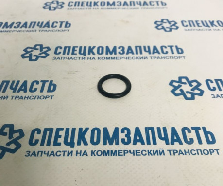 Прокладка корпуса термостата кольцо на Хендай Портер 2 - RRH3